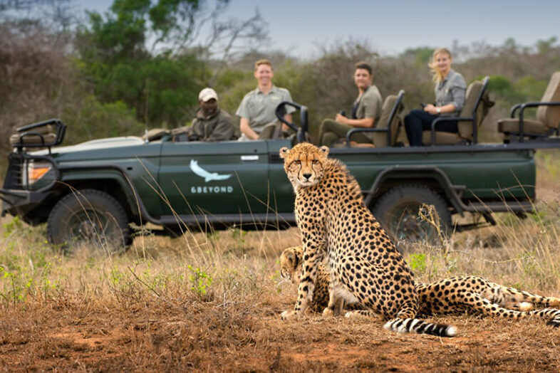 Game Drives
