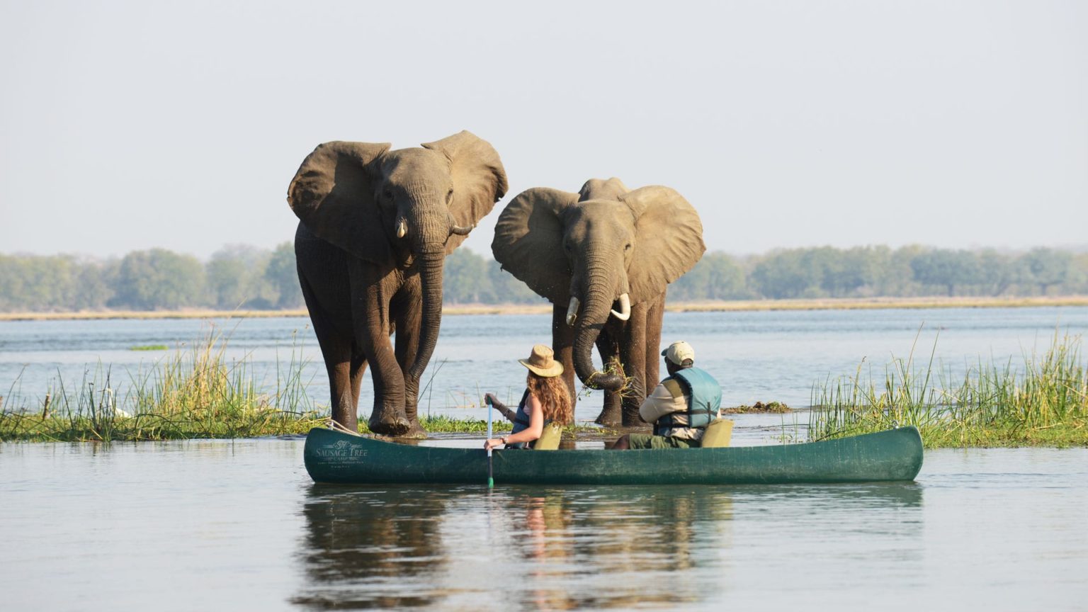 Game viewing by canoe on the Zambezi 1536x864 1