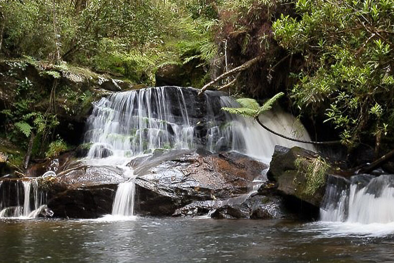 Andasibe Mantadia Nat Park