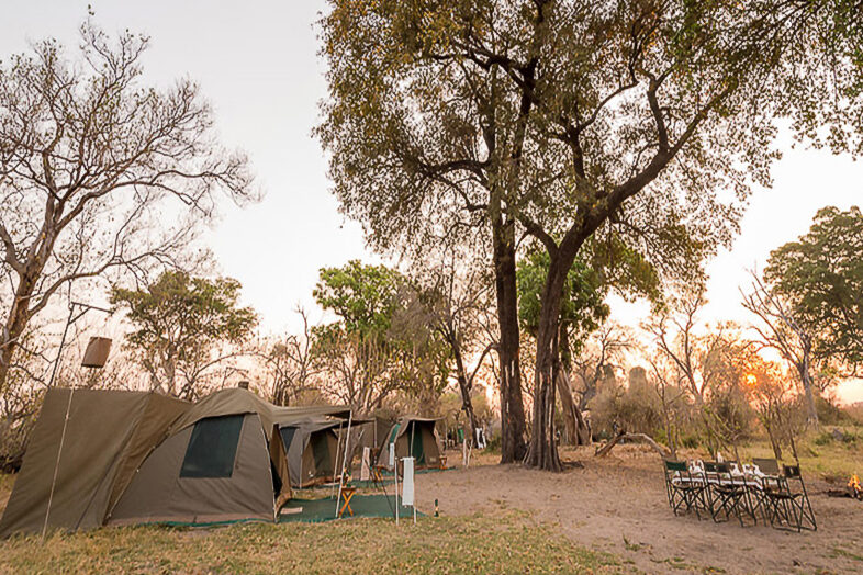 Bush Camping