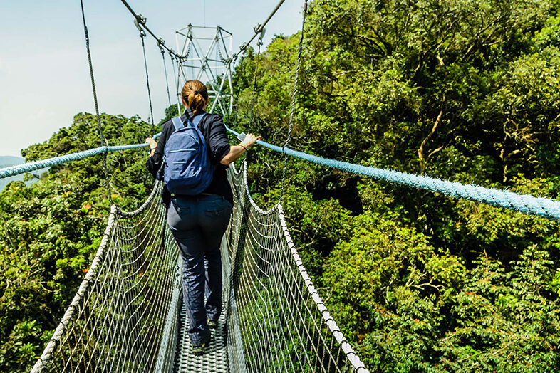 Canopy Walk