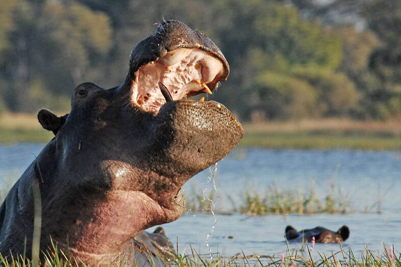 Caprivi Strip