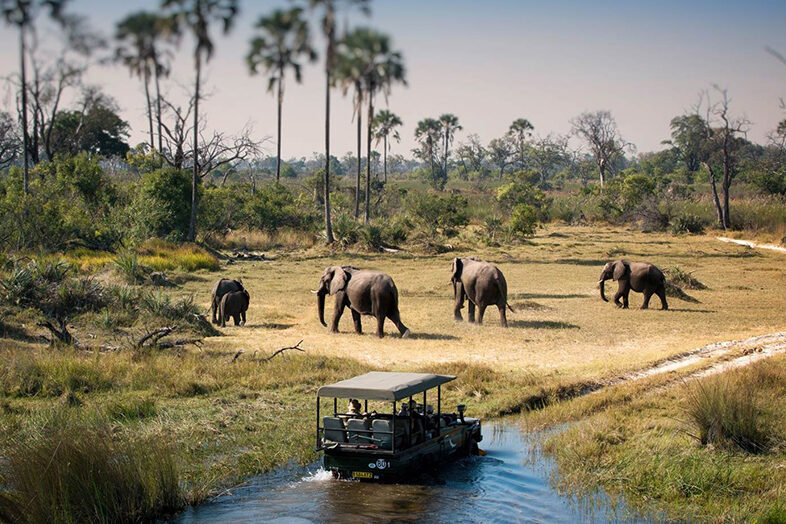 Chobe Nat. Park