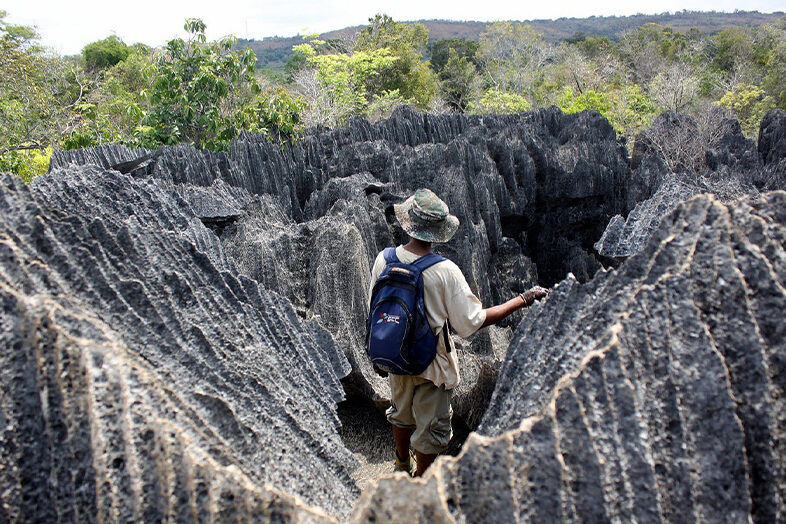 Conservation Efforts