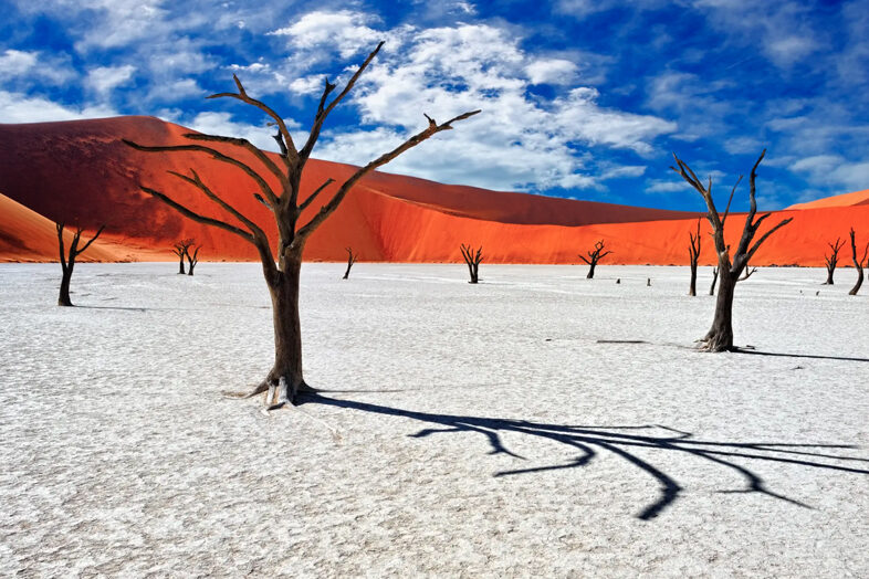 Deadvlei