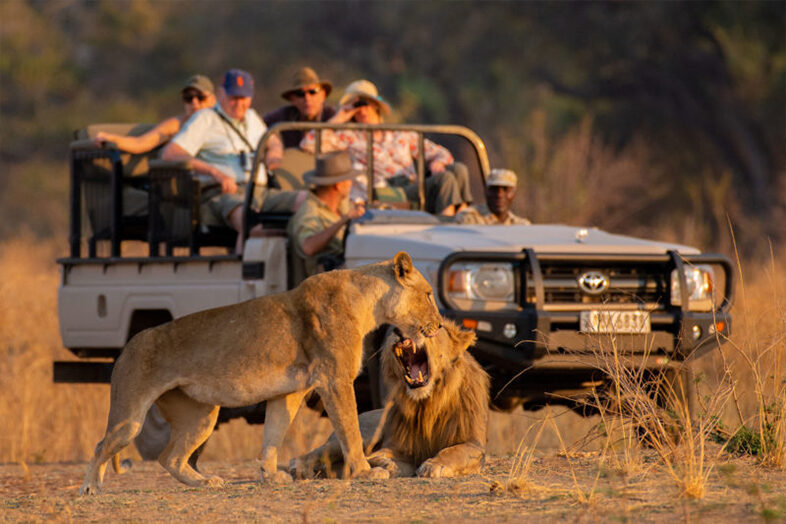 Game Drives