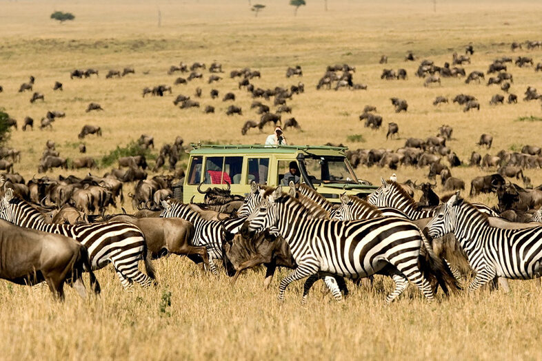 Great Migration Safari