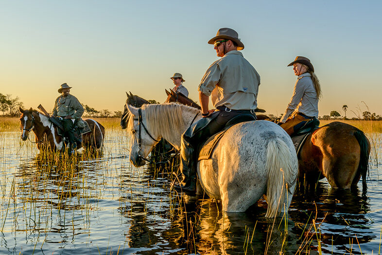 Horseback Safari