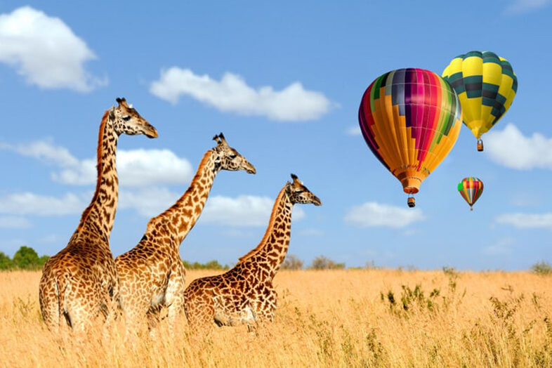 Hot Air Balloon Safari