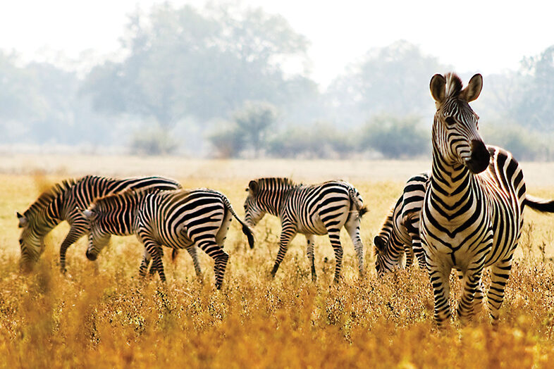 Liuwa Plain National Park