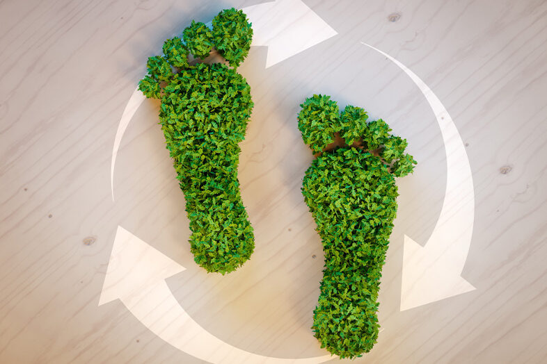 Minimizing Your Carbon Footprint