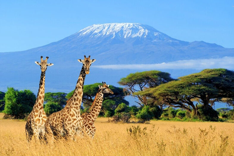 Mount Kilimanjaro