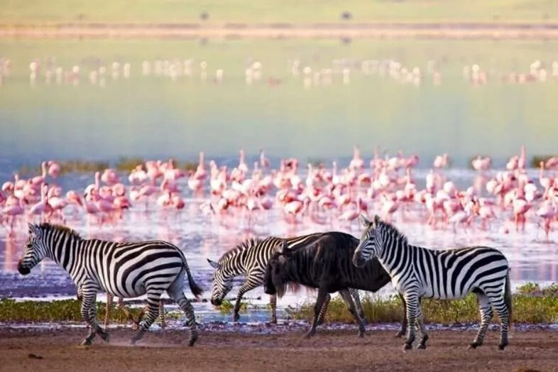 Ngorongoro Crater
