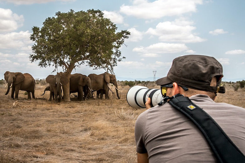 Photography Safari 1