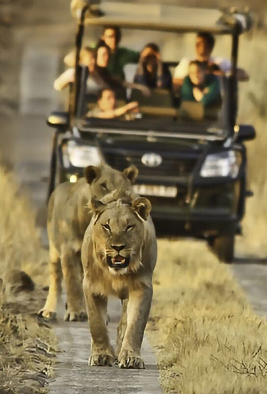 SouthAfrica Featured 1
