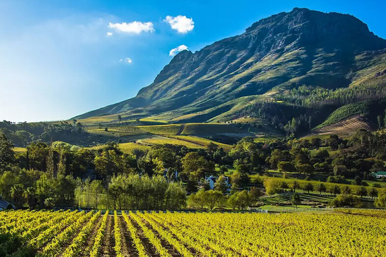 Stellenbosch