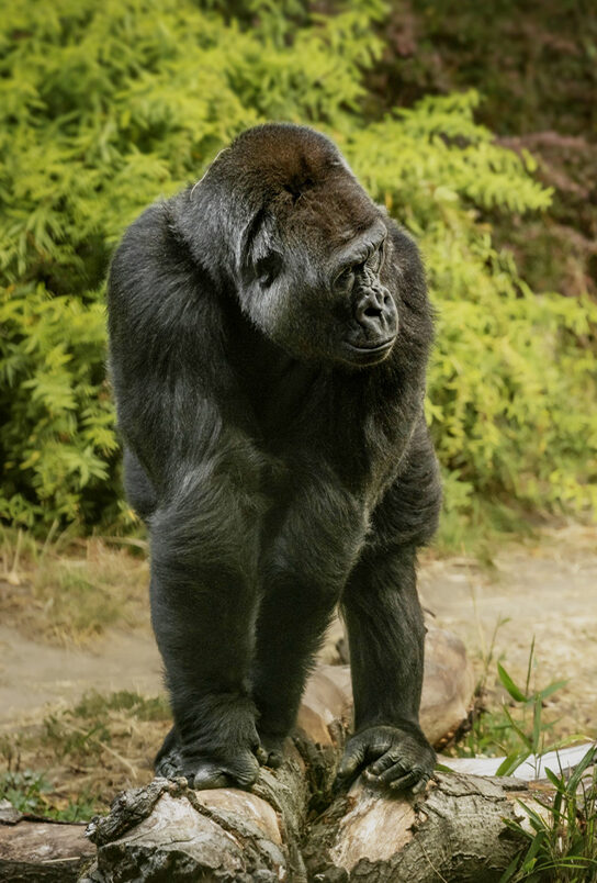 Uganda Featured 1