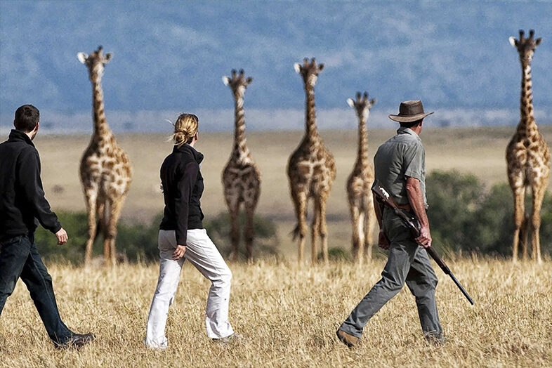 Walking Safari 2