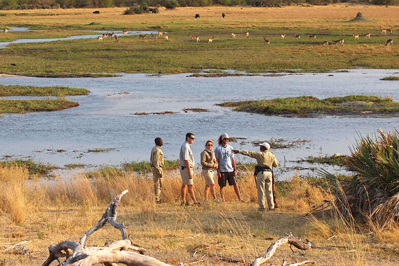 Walking Safari 3