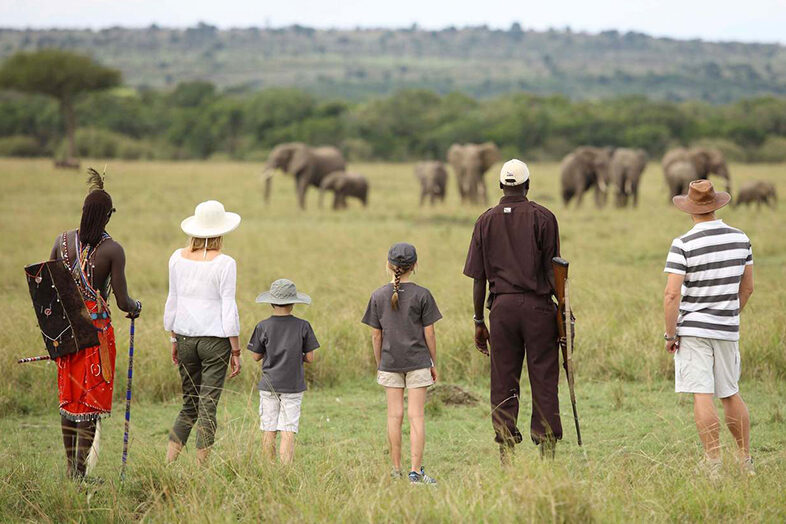 Walking Safari