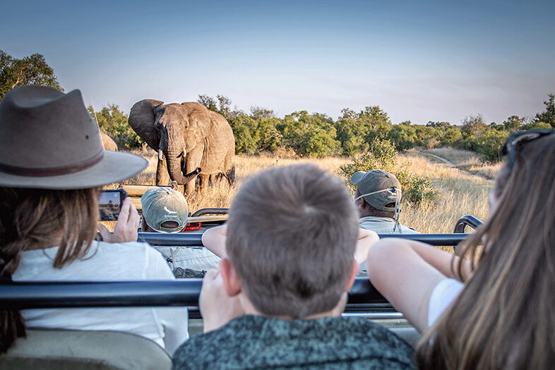 kruger nat park 2