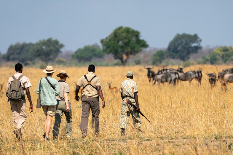 walking safari 1